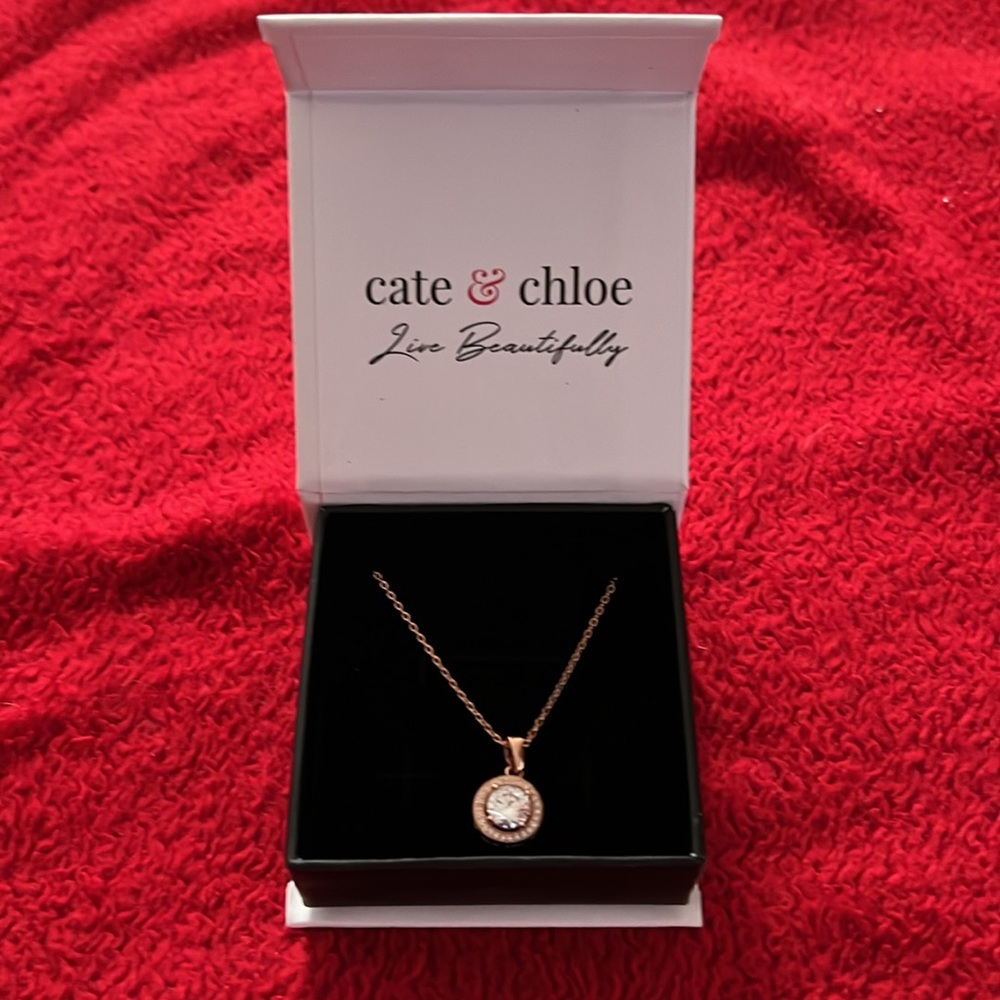 Cate & Chloe Blake 18k Rose Gold Plated Halo Pendant Necklace New